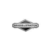 Briggs & Stratton