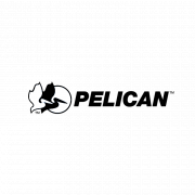 Pelican